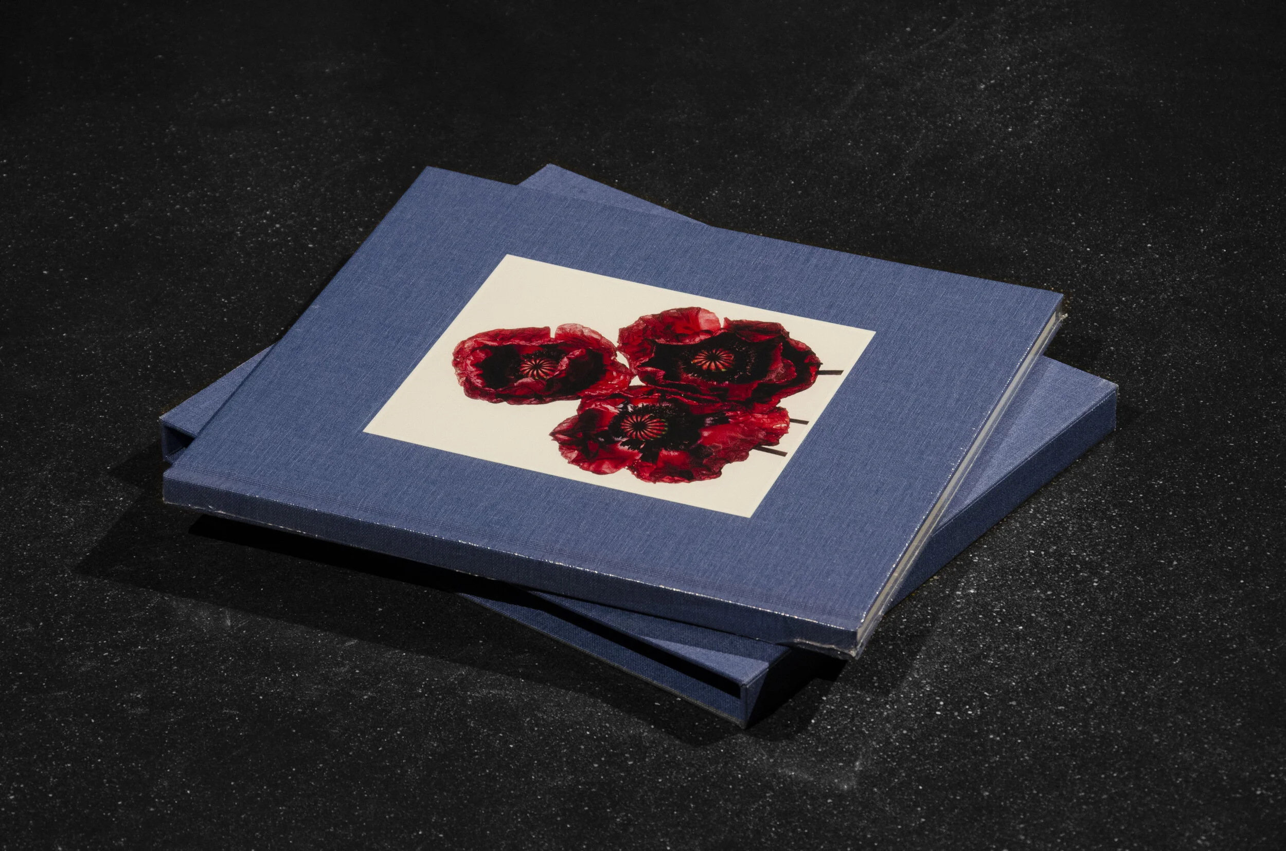 Irving Penn, Flowers, Special Edition — Hamiltons Gallery Shop